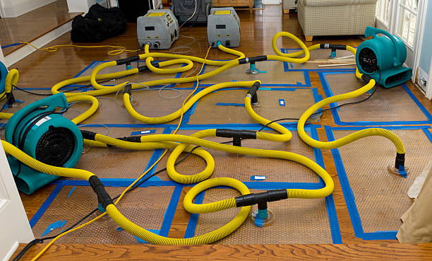 Professional Basement Flood Cleanup technician working in Freedom, NH
